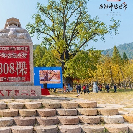 三千年石磨文化